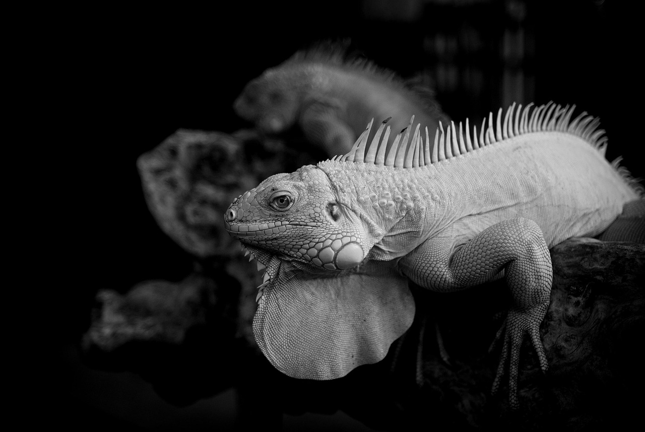 ドライヘッドスパで脳疲労を改善する方法は？