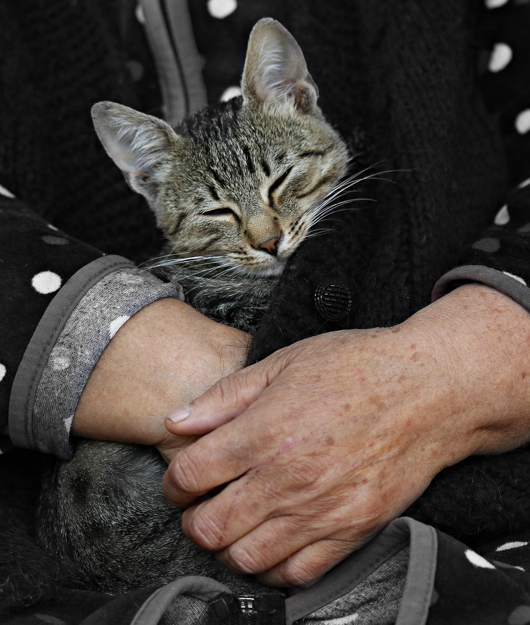 ヘッドスパを受けると眠くなる理由とは？