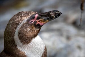 ヘッドスパで疲れが取れない人向けのおすすめ家電は？