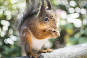 ヘッドスパは疲れを癒す効果が本当にあるのか検証してみた？