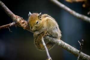疲れ目に効く自宅で使えるヘッドスパデバイスとは？