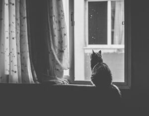 安眠家電とヘッドスパの効果を比較するとどちらが優れているのか？
