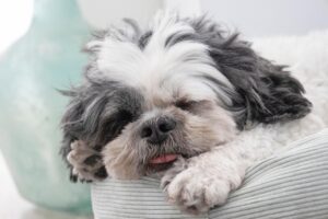 睡眠を深くなるためのヘッドスパ家電で人気の商品は？